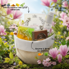 Box Spring – Coffret Beauté Naturelle & Bien-être Cosmétique naturel